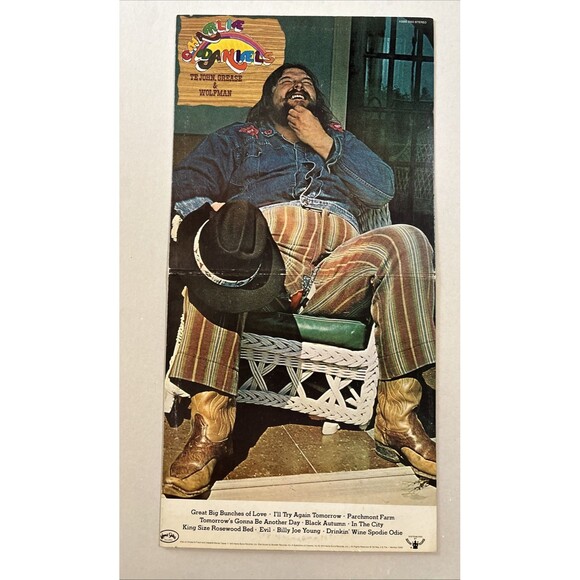 Charlie Daniels Band Vinyl LP Set Of 3 • Jam VI, Volunteer, Wolfman - Picture 5 of 8